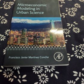 Microeconomic Modeling in Urban Science