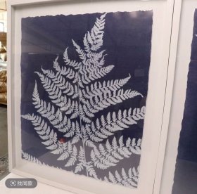 20250114J05 蕨类植物2联装饰画 外框尺寸：52*61 厘米 出口品质 带玻璃