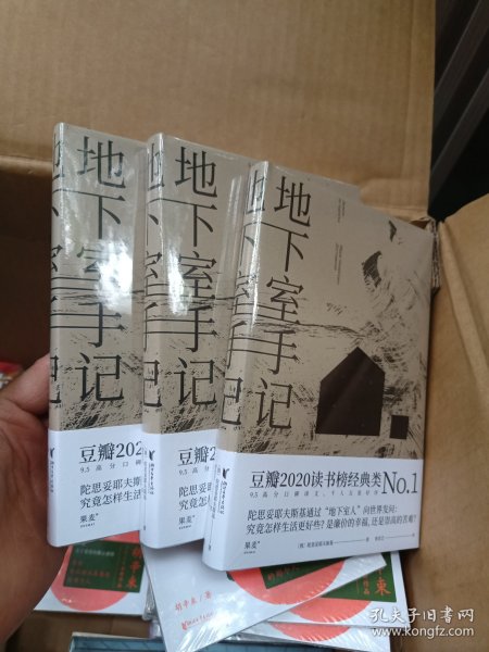 地下室手记（一本书囊括陀思妥耶夫斯基作品精华，世界文学经典。）