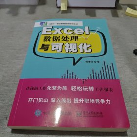 Excel数据处理与可视化