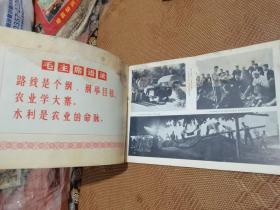 工农兵画刊：农业学大赛专辑 1973年第4期