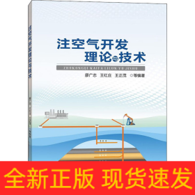 注空氣開發(fā)理論與技術(shù)