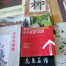 美国大学Top200简历及录取因素剖析