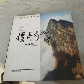 搜尽奇峰画丛峨眉山