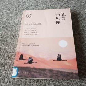 正好遇见你〈签名本〉