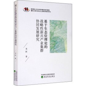 基于生態(tài)位理論的戰(zhàn)略性新興產(chǎn)業(yè)集群協(xié)同發(fā)展研究