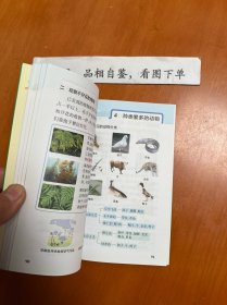 科学 六年级上（JK版 全彩版大字版漫画图解）/小学学霸速记