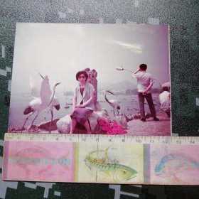 星海公园留念老照片