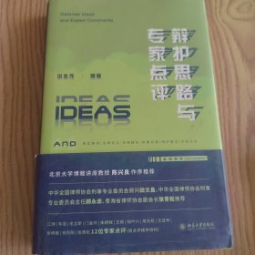 辩护思路与专家点评 刑事辩护律师办案实操指南 类案检索 知名学者律师点评 陈兴良教授作序推荐