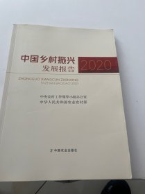 中国乡村振兴发展报告(2020)