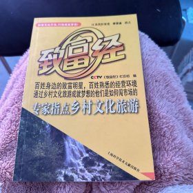 专家指点乡村文化旅游