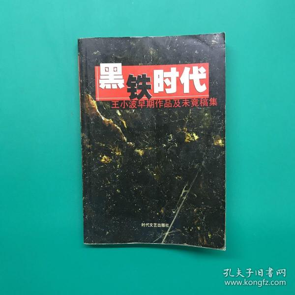 黑铁时代：王小波早期作品及未竟稿集