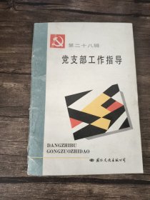 党支部工作指导