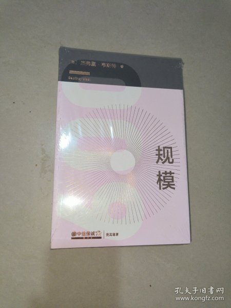 规模：复杂世界的简单法则