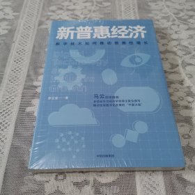 新普惠经济数字技术如何推动普惠性增长罗汉堂著中信出版社图书