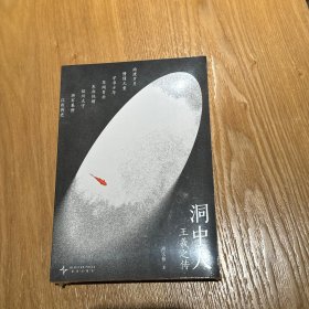 洞中人：王羲之传 读库 新书