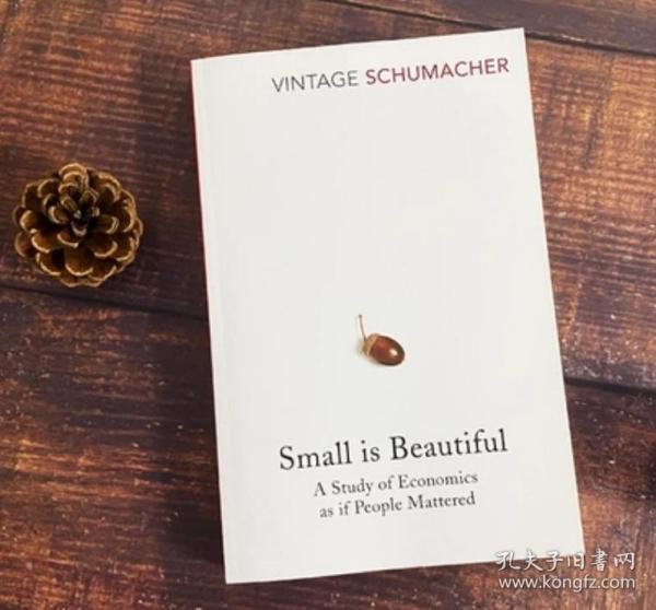 全新正版  小即是美 Small Is Beautiful: A Study... [9780099225614]