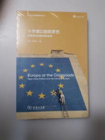 十字路口的欧罗巴：右翼政治与欧洲的未来(北京大学区域国别研究丛书)