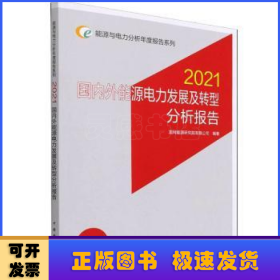 能源与电力分析年度报告系列 2021 国内外能源电力发展及转型分析报告