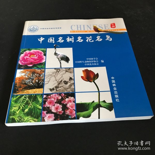 中国森林火灾典型案例