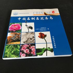 中国森林火灾典型案例