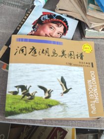 洞庭湖鸟类图谱