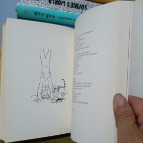 野地之声--王林诗歌选（精装 中英双语插图本 作者签赠本）