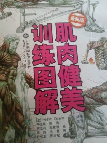肌肉健美训练图解