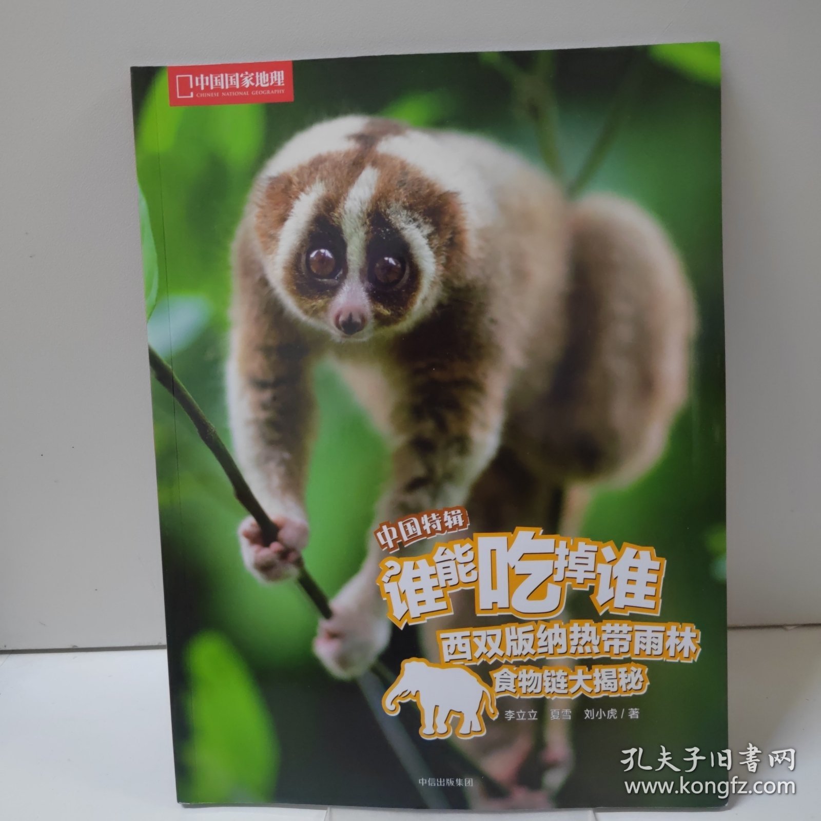 西双版纳热带雨林食物链大揭秘（谁能吃掉谁·中国特辑）