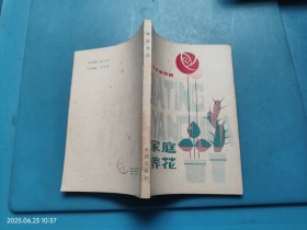 家庭养花