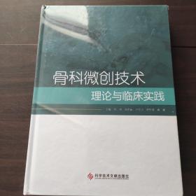 骨科微创技术  理论与临床实践