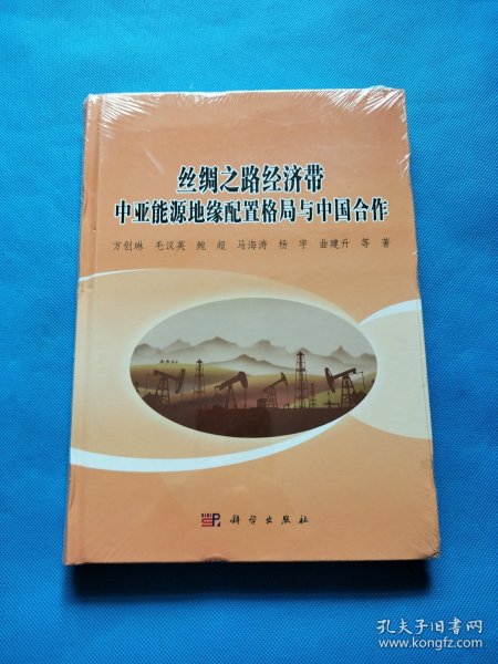 丝绸之路经济带中亚能源地缘配置格局与中国合作