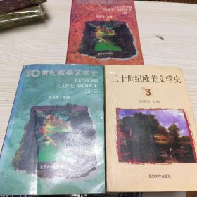 二十世纪欧美文学史 三本