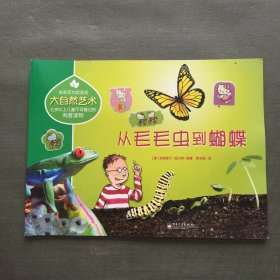 大自然艺术：从毛毛虫到蝴蝶