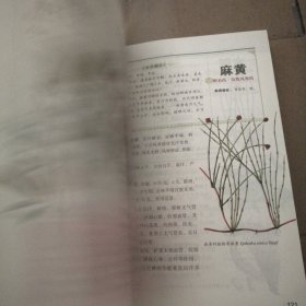 本草纲目：彩色图鉴