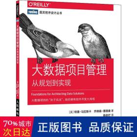 大数据项目管理从规划到实现