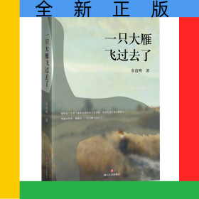 一只大雁飞过去了
