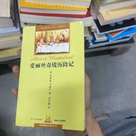 爱丽丝奇境历险记