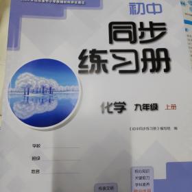 初中同步练习册化学九年级上册