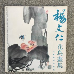 杨文仁花鸟画集