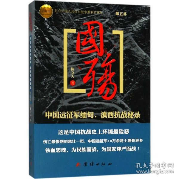 国殇（第5部）：中国远征军缅甸、滇西抗战秘录