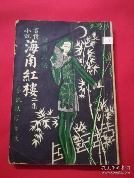 言情小说：海角红楼（二集）