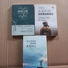 成功宝典 让我们从平庸的生活中奋起 不要让未来的你 讨厌现在的自己 你无法改变世界时改变自己