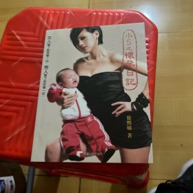 小S之怀孕日记（符光盘）