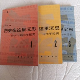 历史在这里沉思（1966-1976年记实1—3卷）