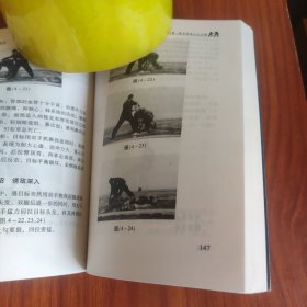 中国警察擒敌制胜技术