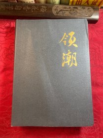 领潮 鲁冠球传