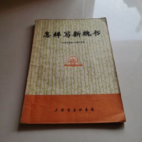 怎样写新魏书