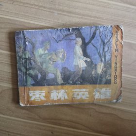 连环画 枣林英雄