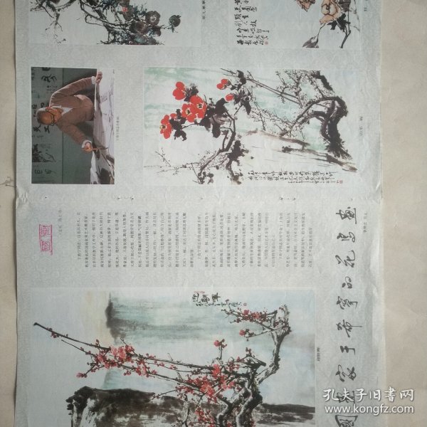 国画家于西宁的花鸟画 ，【迎朝辉】《山茶梅》（牡丹）《果儿累累笑东风 》。